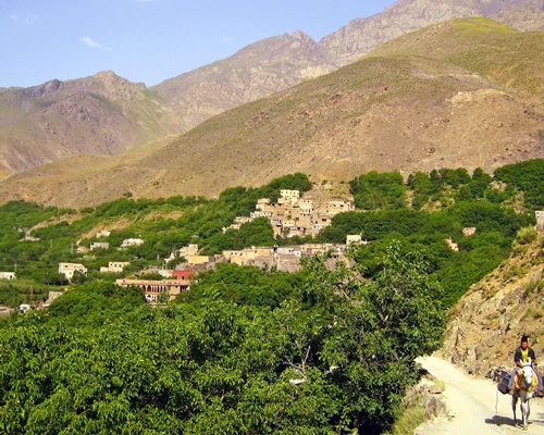 Atlas Mountains Day Trip