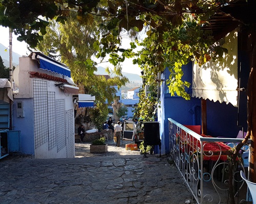 Wonderful diverse country - experience many of our treasures in city, coast and mountain