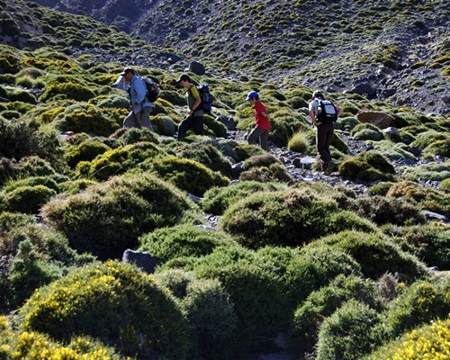 Atlas Valleys & Toubkal